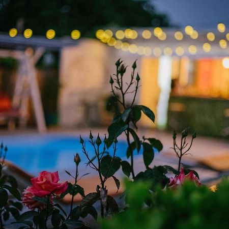 Vila Primavera Vama Veche Exterior foto