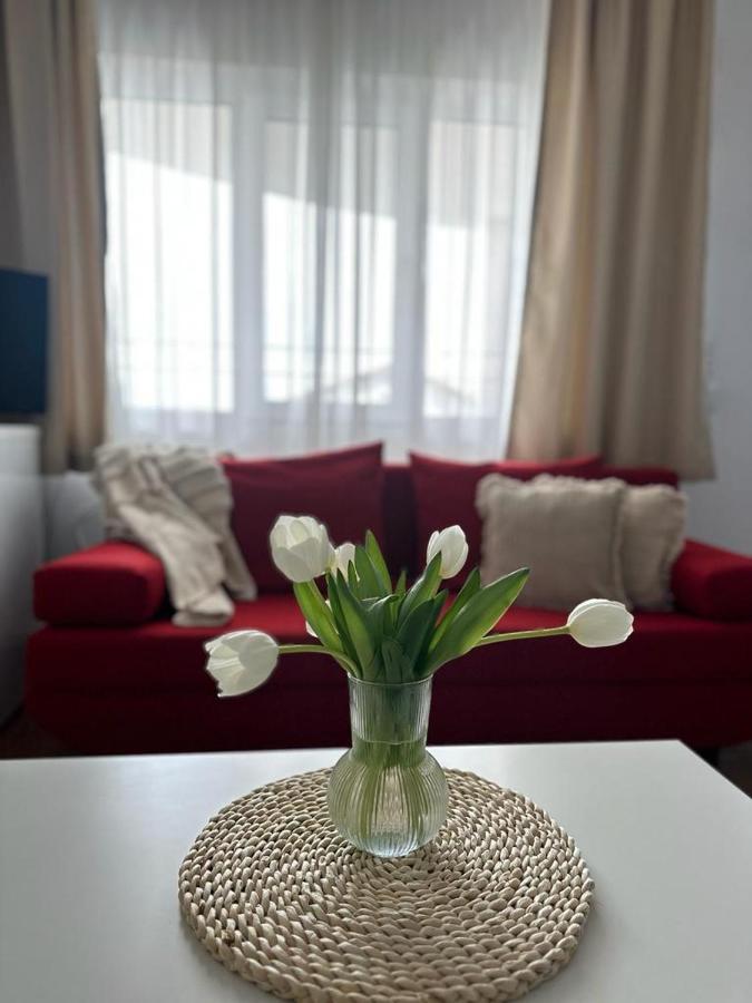 Vila Primavera Vama Veche Exterior foto