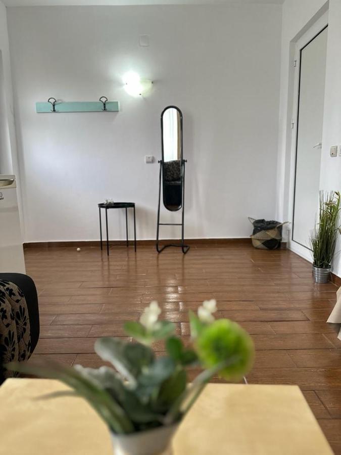 Vila Primavera Vama Veche Exterior foto